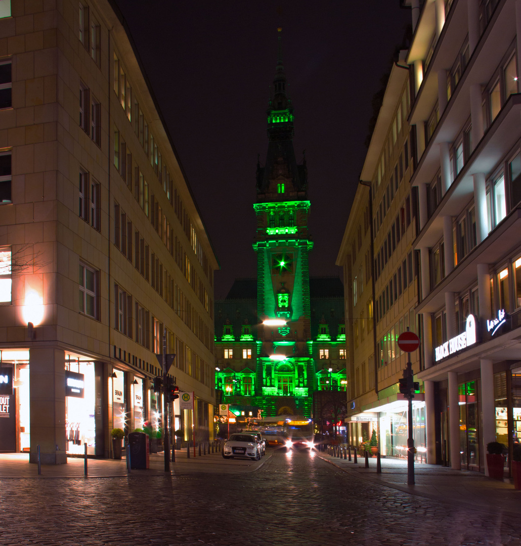 Das grüne Rathaus