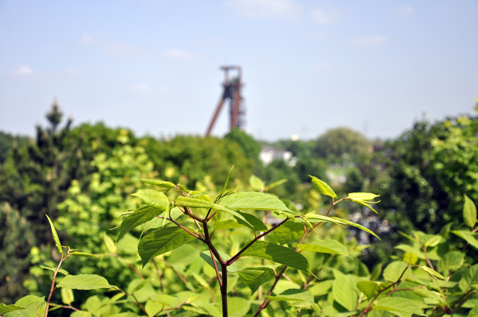 Das grüne Ruhrgebiet