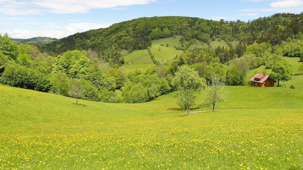Das grüne Tal 2 Foto & Bild landschaften, wiese, natur Bilder auf
