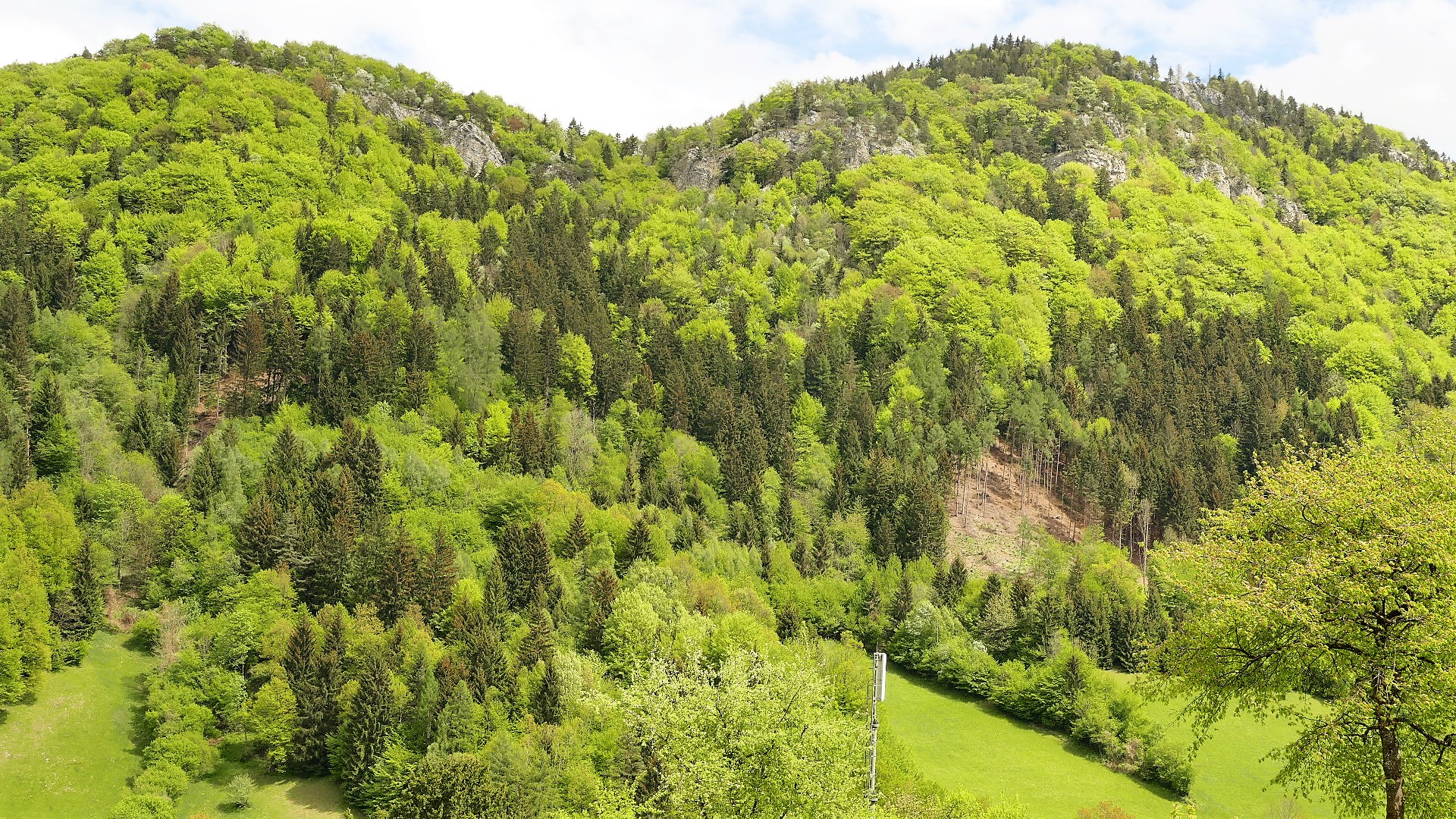 Das grüne Tal 3 Foto & Bild landschaft, berge, landschaften Bilder