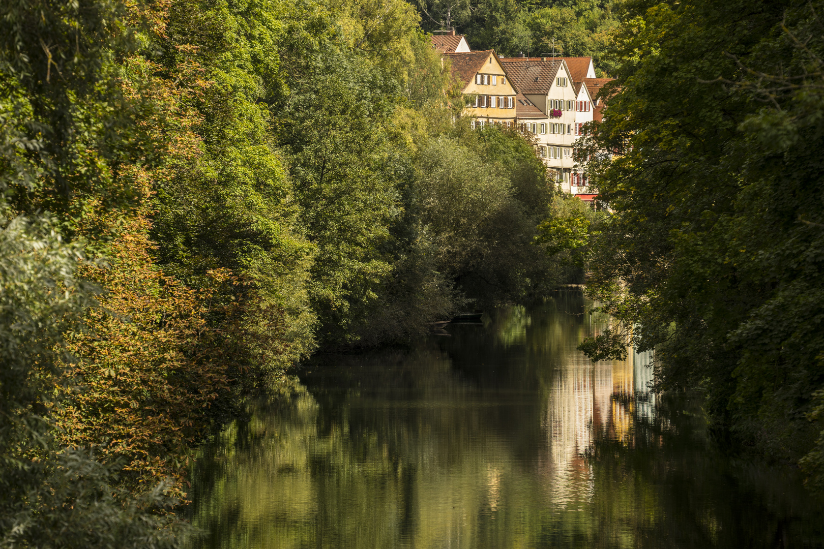 das grüne Tübingen
