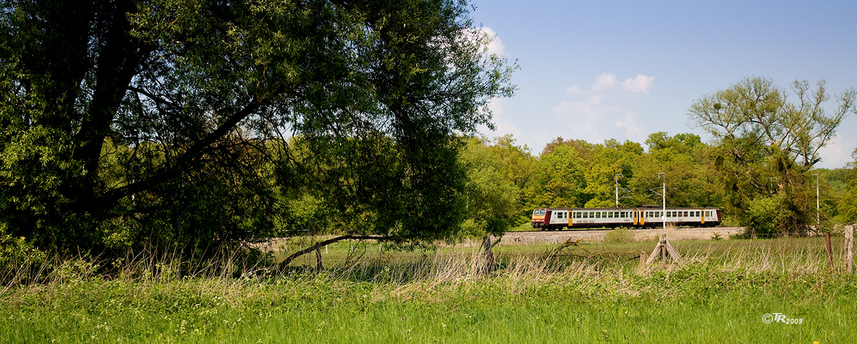 Das "grüne" Verkehrsmittel