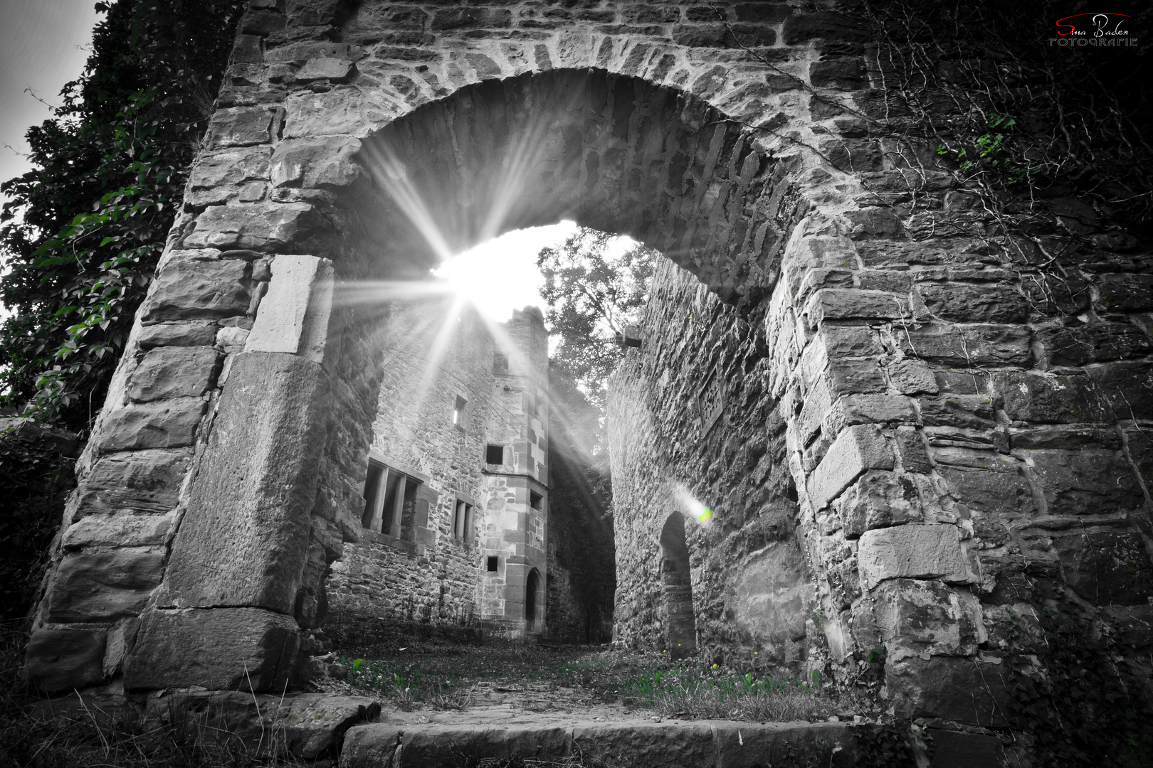 Das Grünen der Burg Minneburg ;)