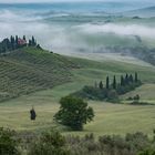 das Gut Belvedere in der Toscana