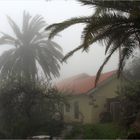 das Gute am Nebel....er ist nur auf einer Seite von La Gomera