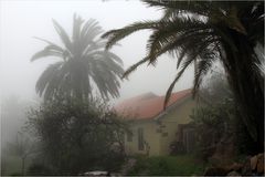 das Gute am Nebel....er ist nur auf einer Seite von La Gomera