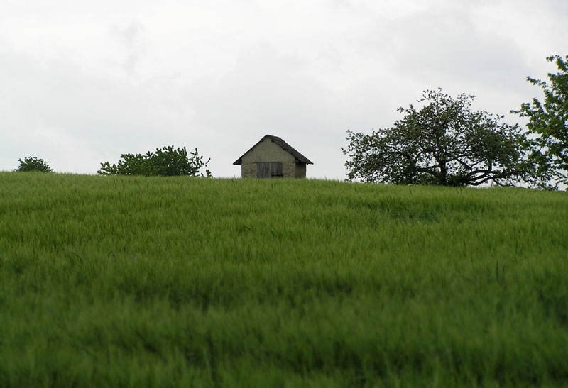 Das Häuschen