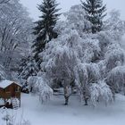 Das Häuschen am Baum ( Ein Wintertraum )