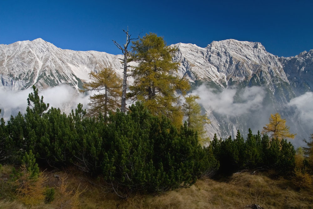 Das Halltal im Herbst