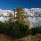 Das Halltal im Herbst