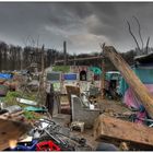 Das Hambi Camp der Klima Aktivisten im Hambacher Forst