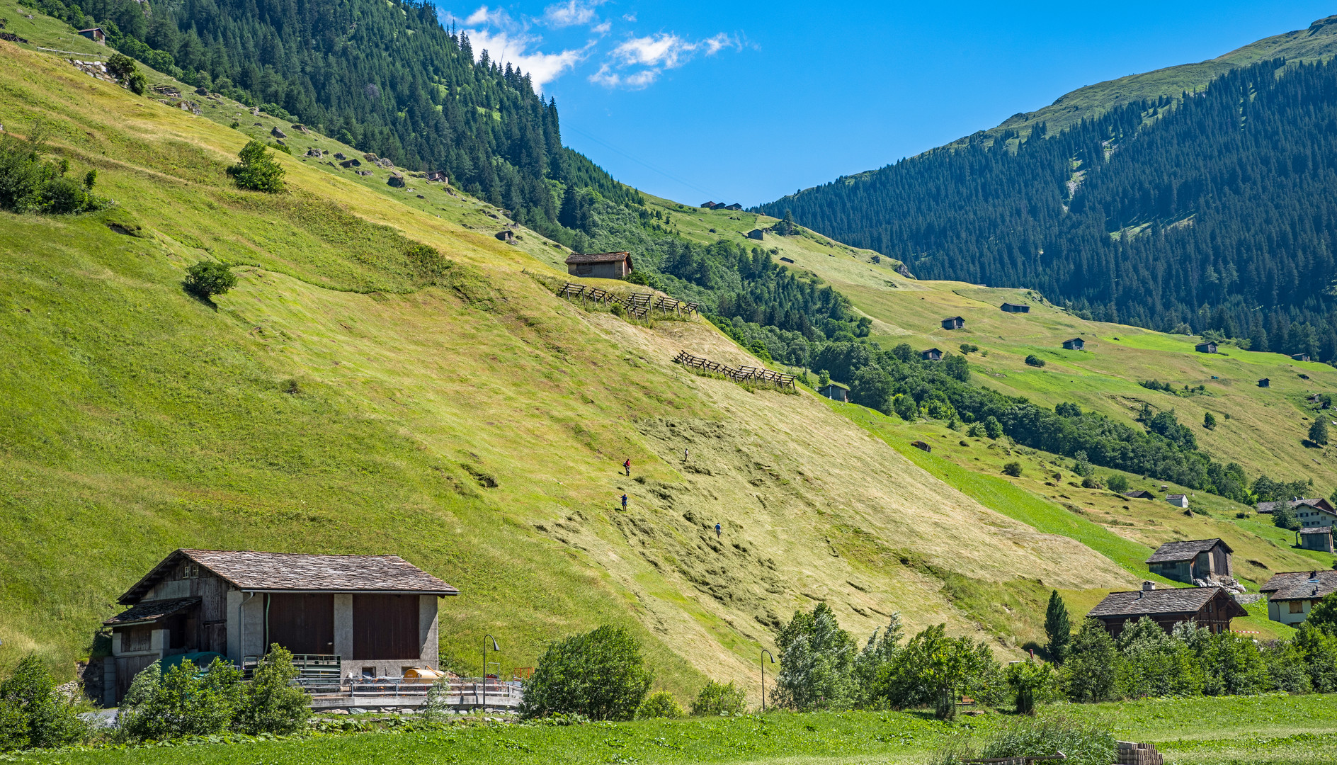 Das harte Bergbauerleben