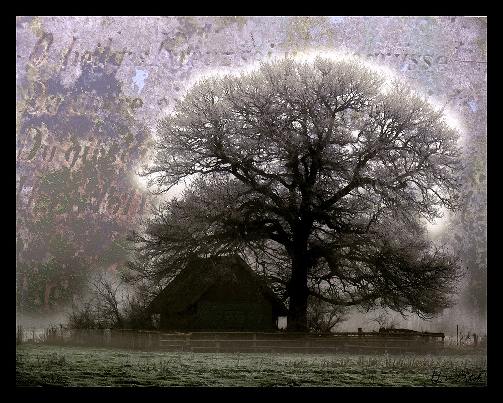 Das Haus am Baum