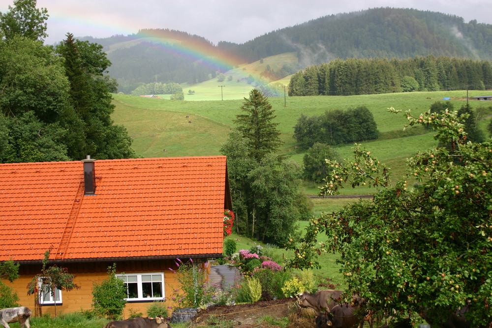 Das Haus am ende des Regenbogens