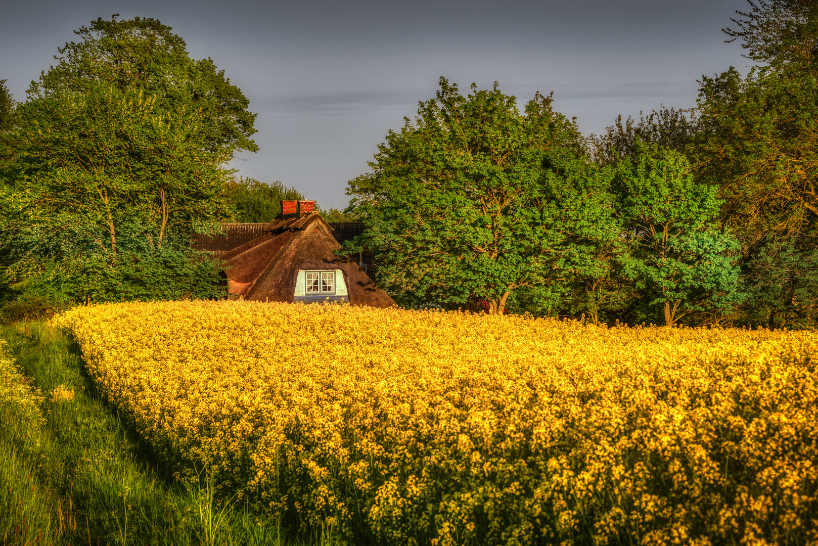 Das Haus am Feld - Bild 1