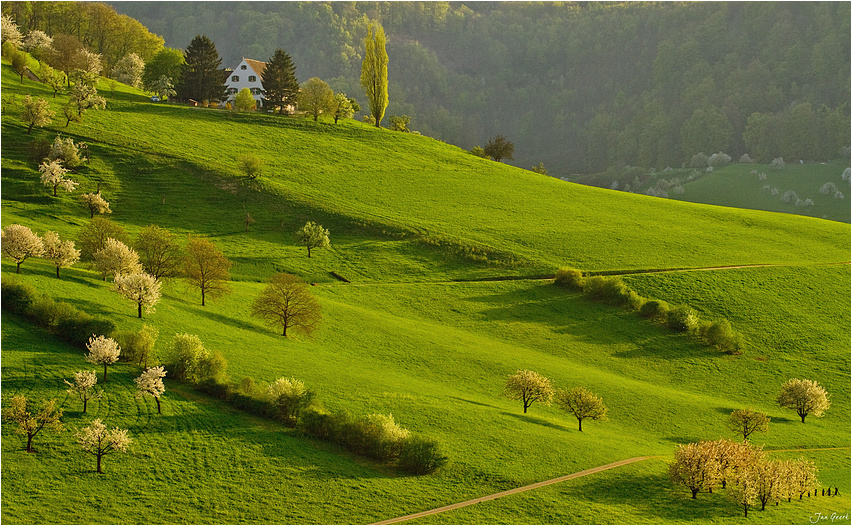 Das Haus am grünen Hang