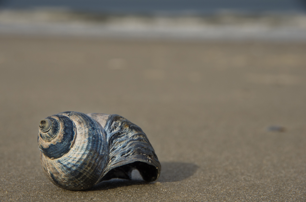 Das Haus am Meer