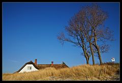 Das Haus am Meer /2.