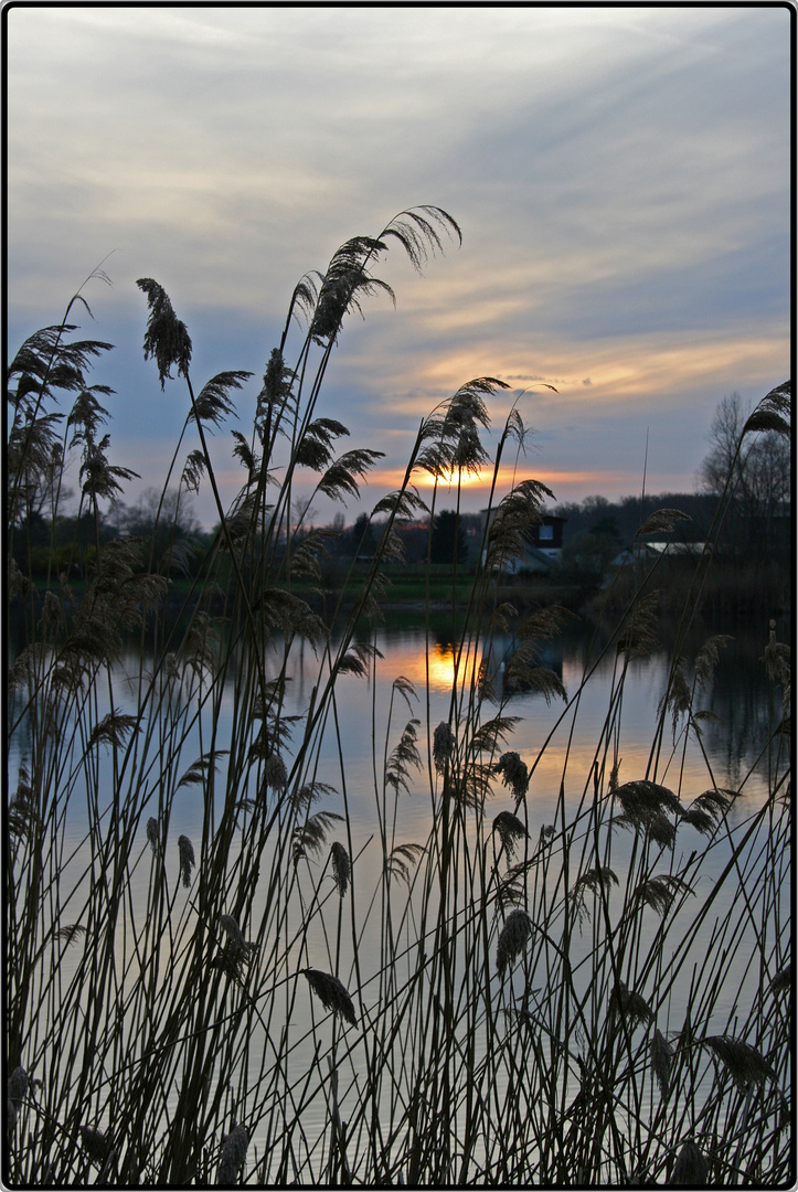 das Haus am See