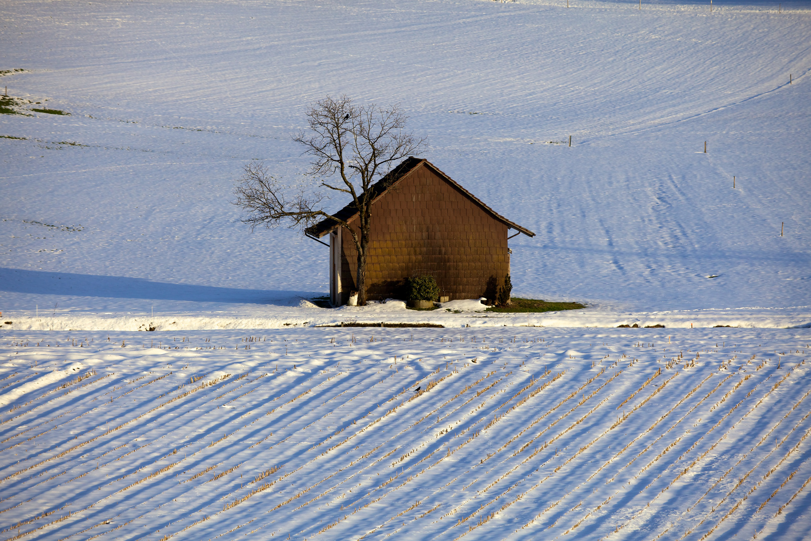 Das Haus am See