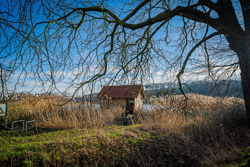 Das Haus am See