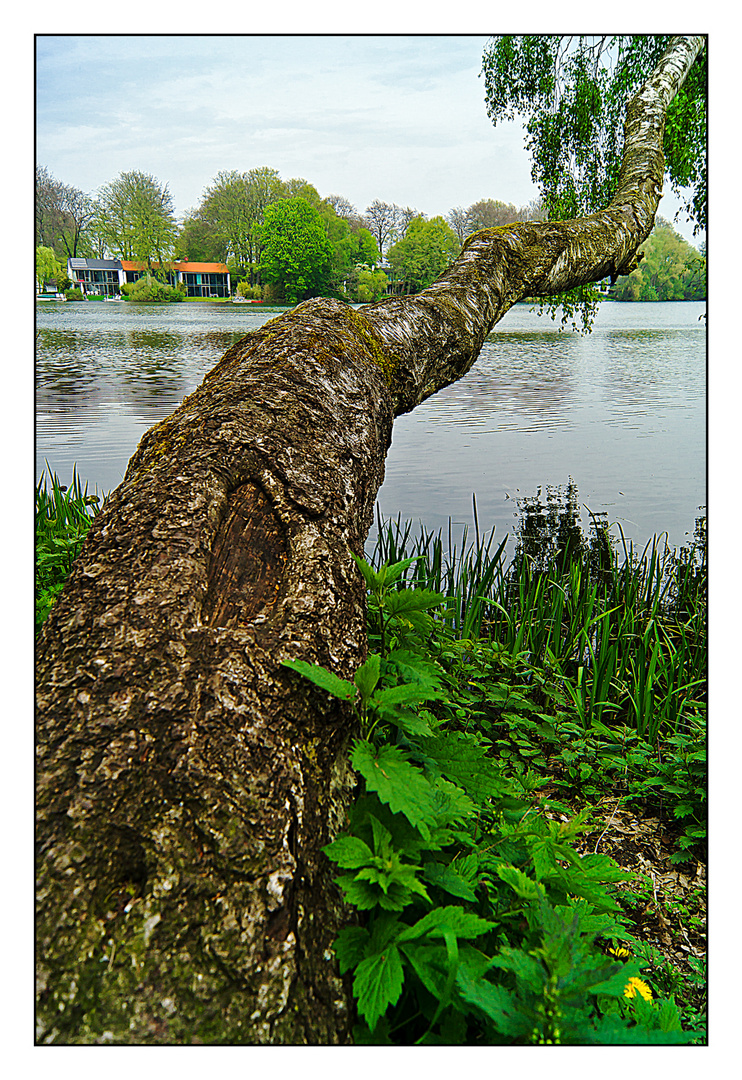 Das Haus am See