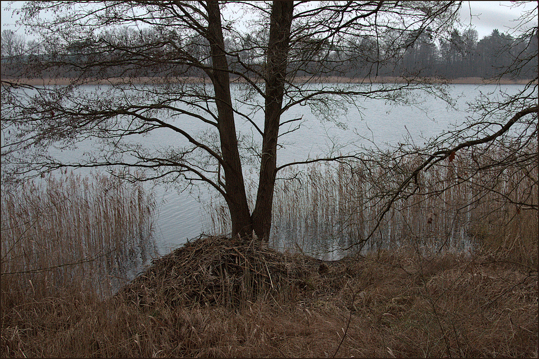 Das Haus am See