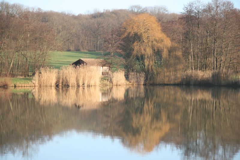 Das Haus am See