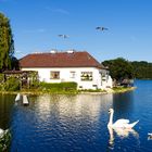 Das Haus am See - KI-Bild