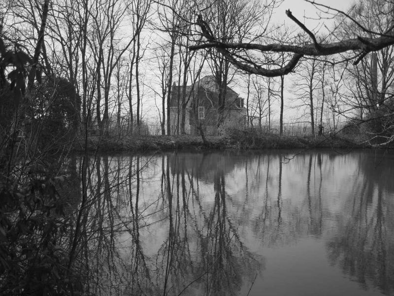 Das Haus am Teich