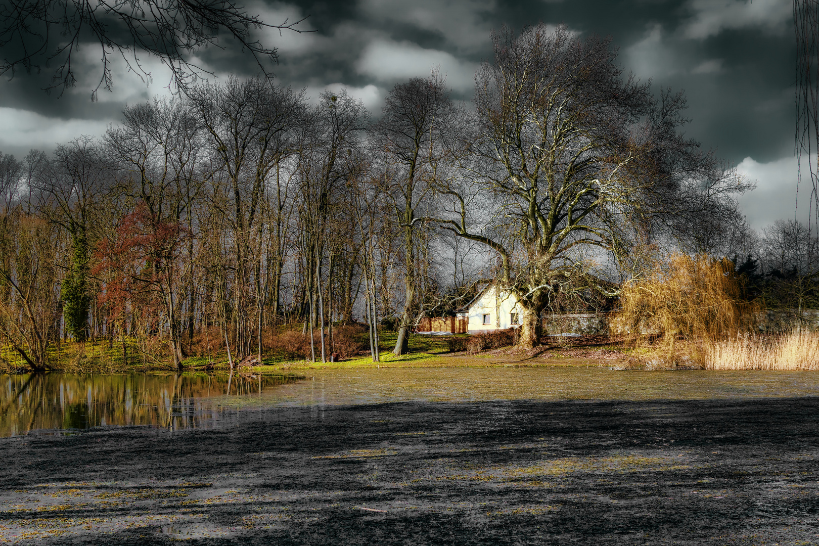 Das Haus am Teich Foto & Bild deutschland, europe, brandenburg Bilder