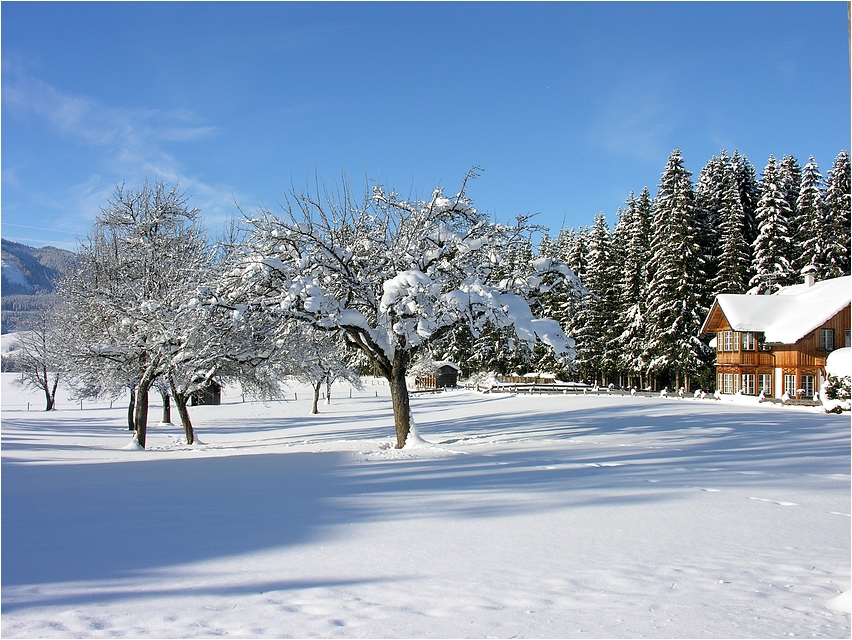 Das Haus am Wald