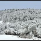 Das Haus am Wald