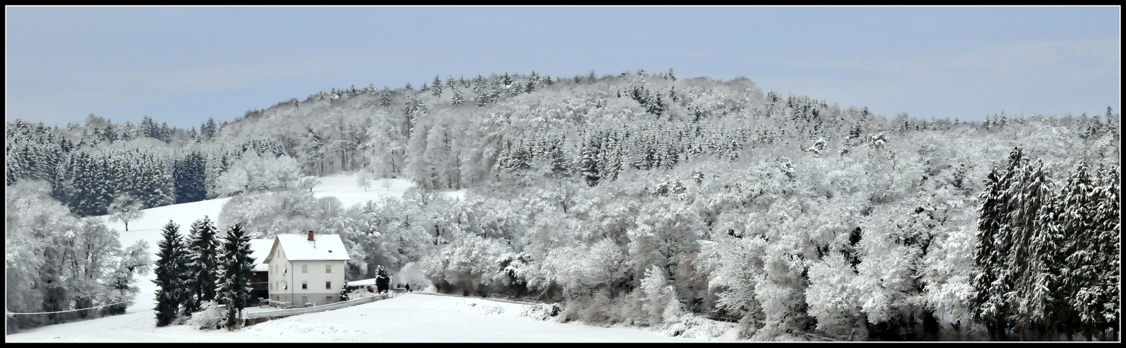 Das Haus am Wald