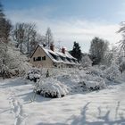 Das Haus am Wald