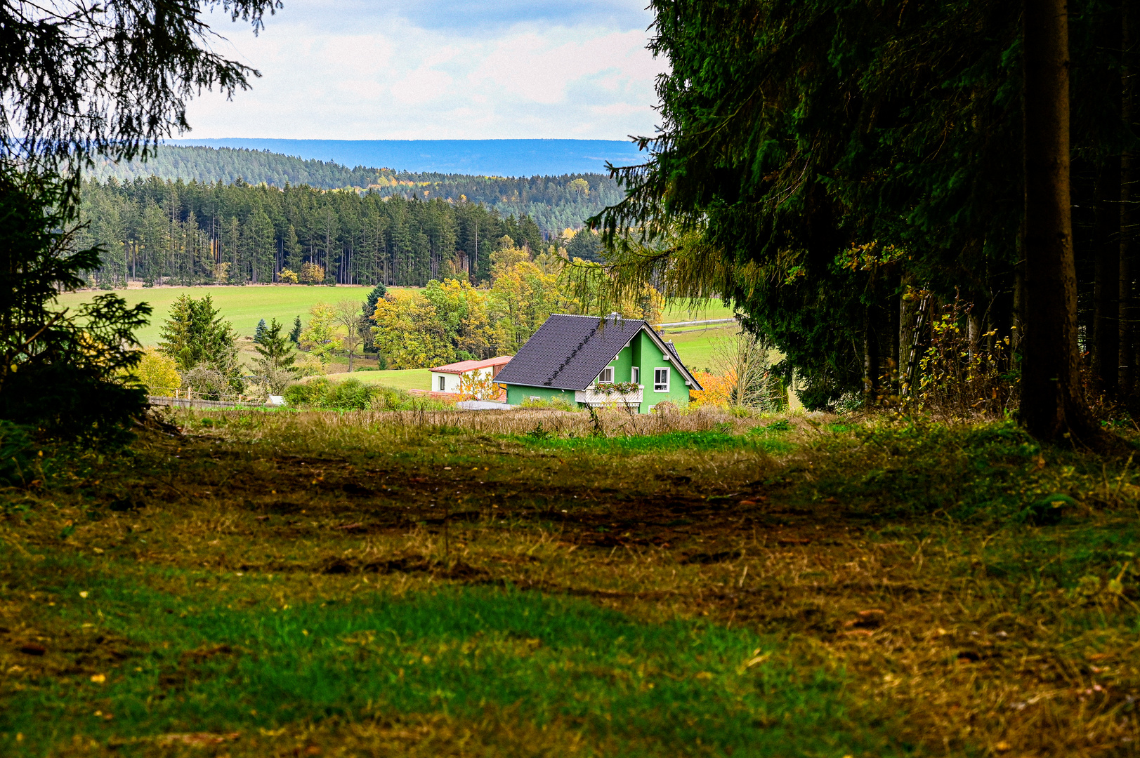 Das Haus am Wald