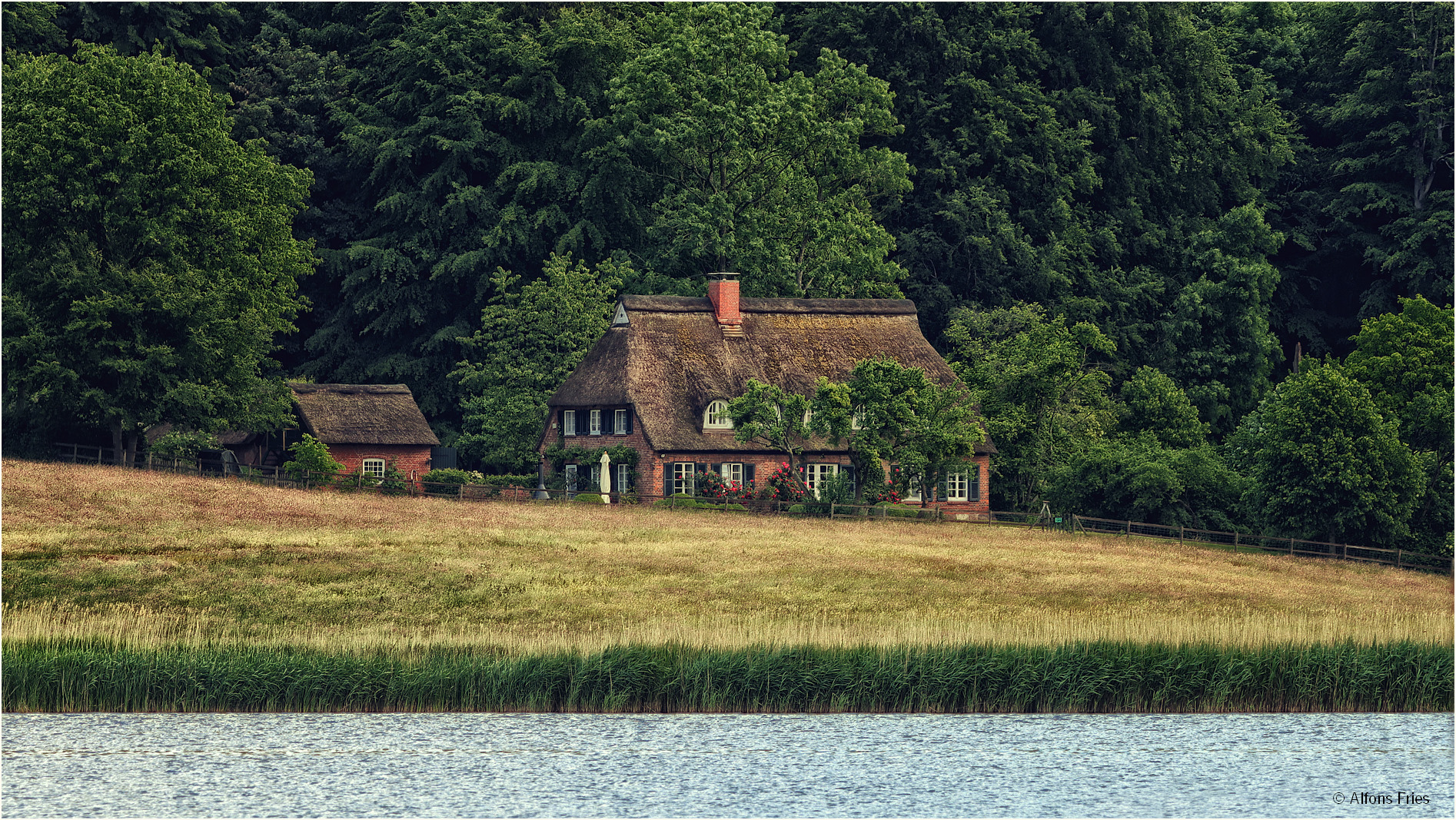 Das Haus am Wald