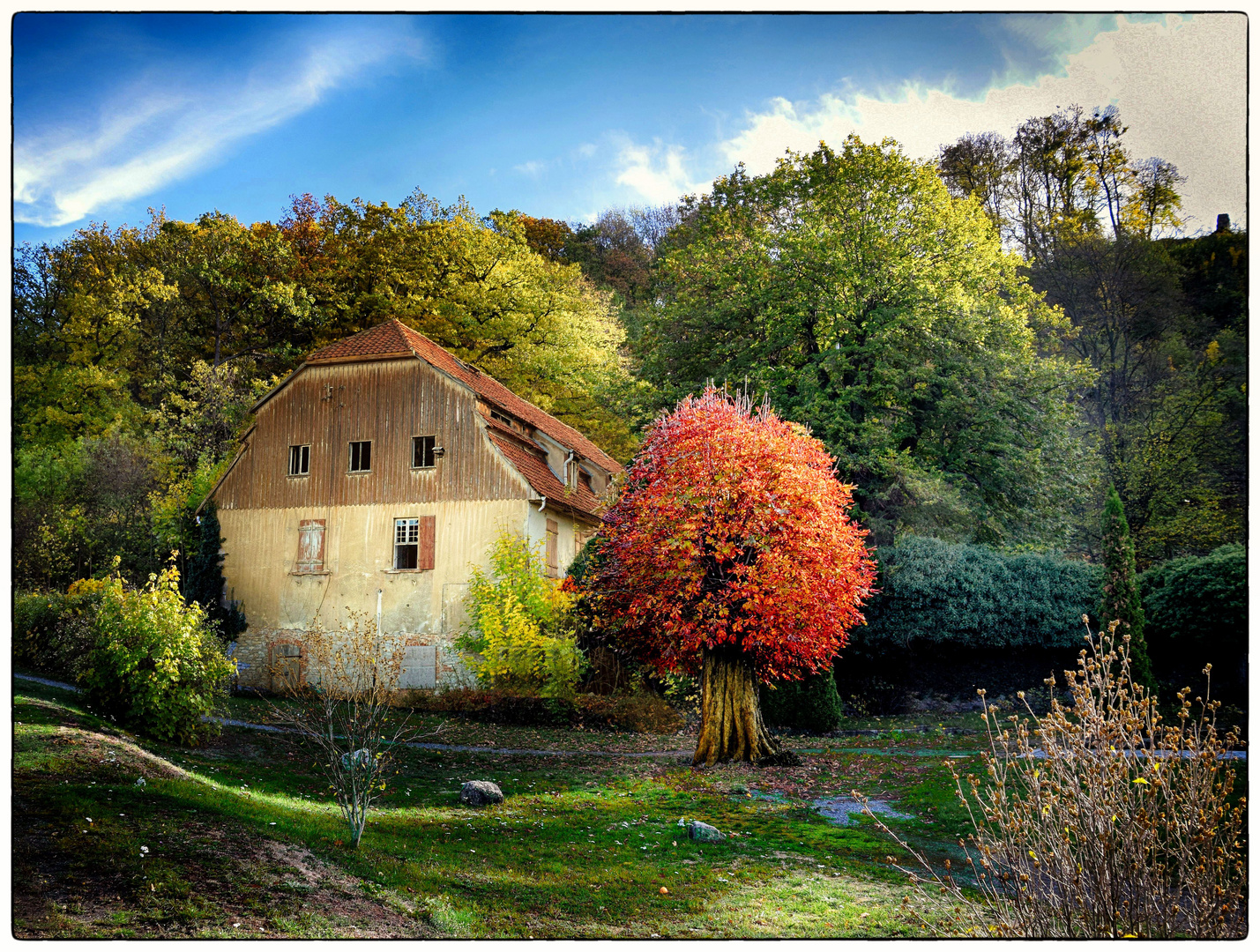 das Haus am Waldrand