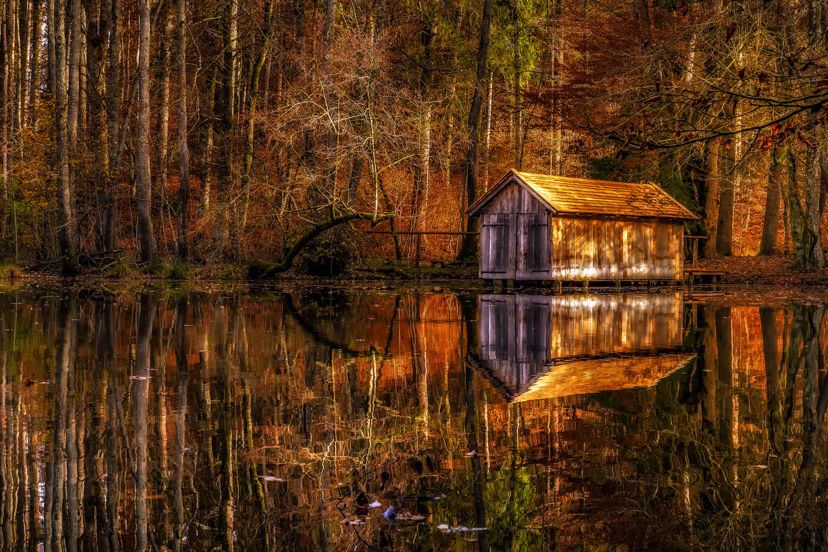 Das Haus am Weiher