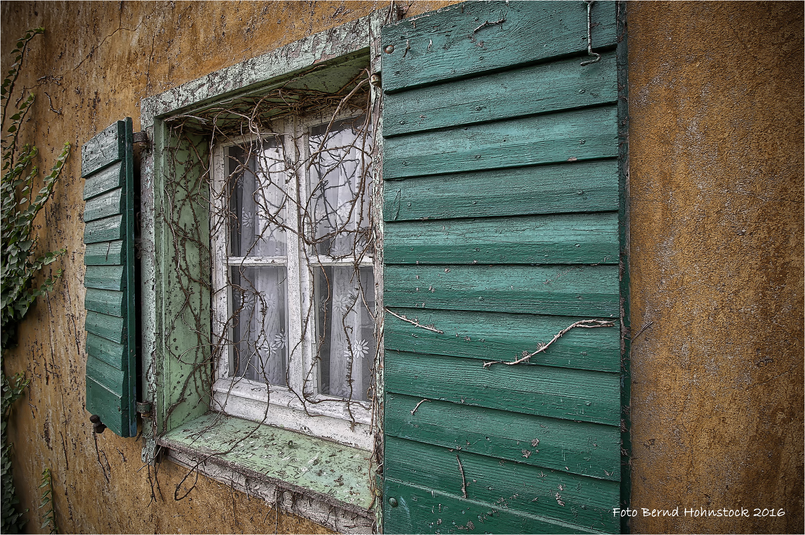 27 Top Photos Haus Der Dame Gelsenkirchen - Mehrfamilienhaus - Ein Klassiker bei der Alterssicherung ...