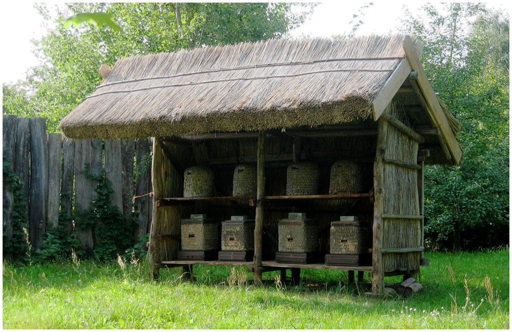 das Haus der Bienen Foto & Bild | kunstfotografie & kultur, museales ...