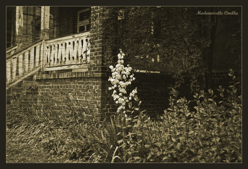 Das Haus Der Verlorenen Seelen Foto Bild Mystik Gothic Szene