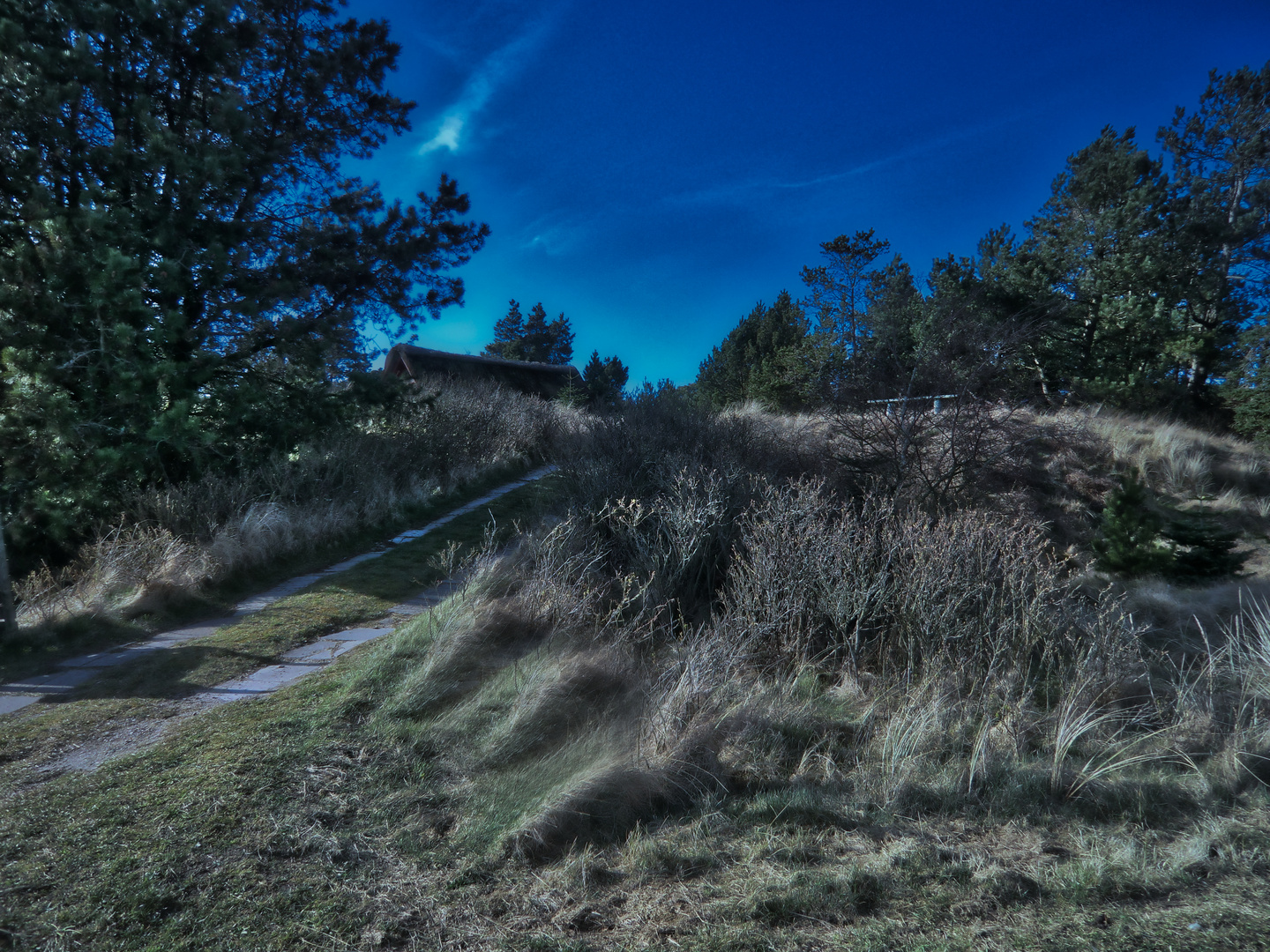 Das Haus hinter der Düne