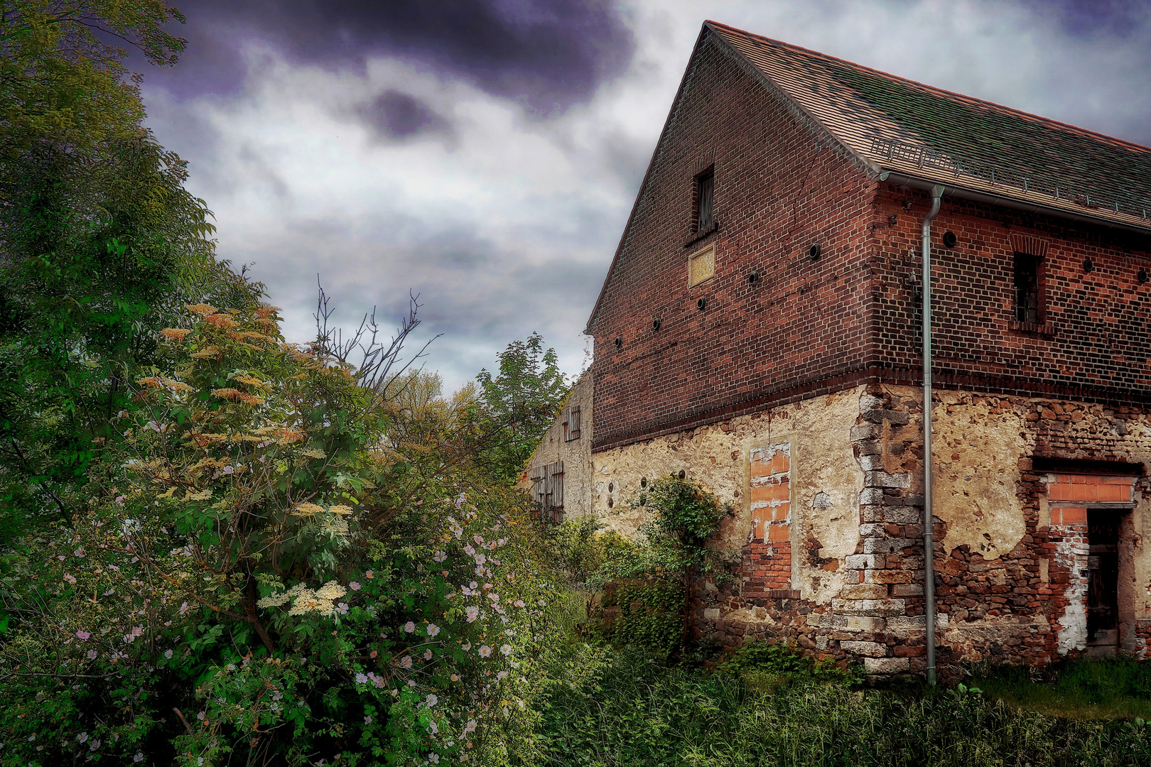 Das Haus hinter der Hecke