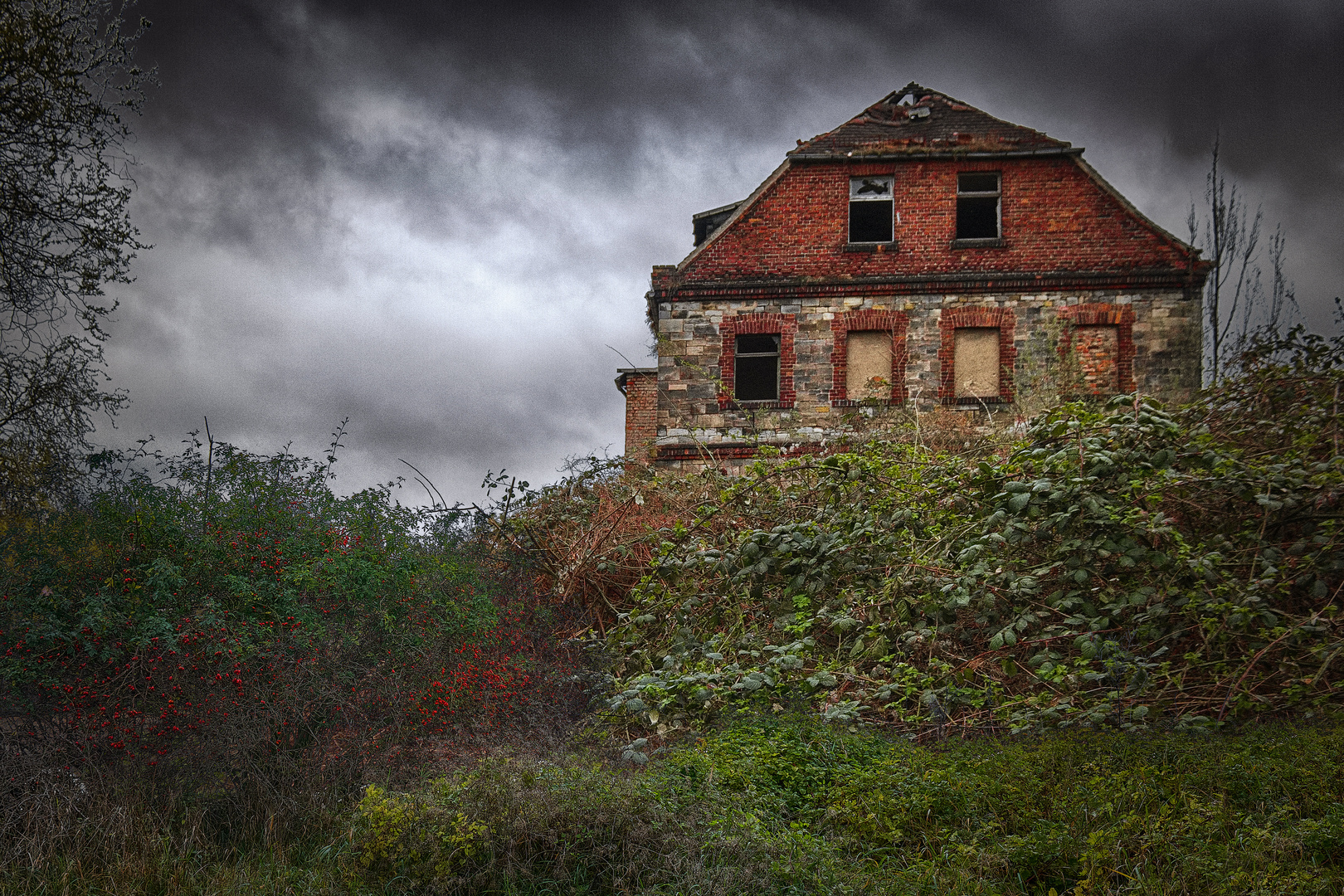 das Haus hinter der Hecke