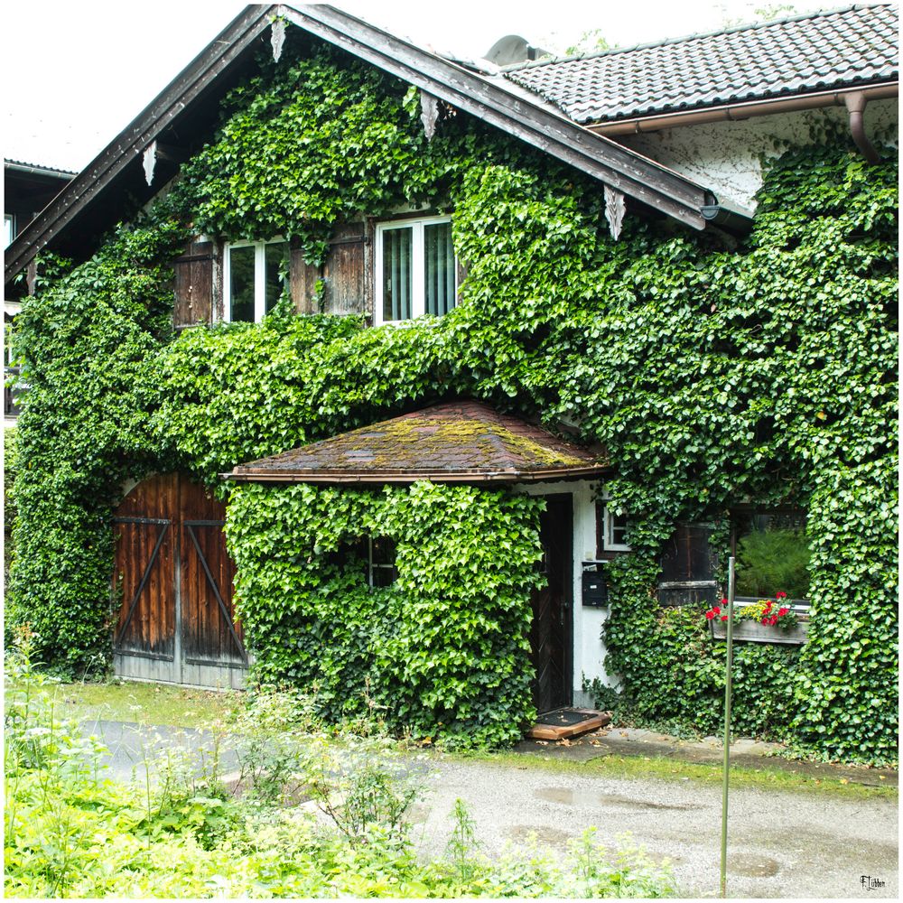 Das Haus im Grünen Foto & Bild | fotos, dokumentation, outdoor Bilder