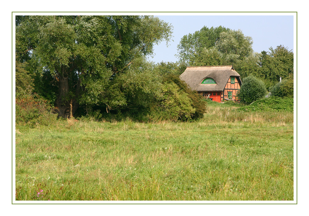 Das Haus im Grünen