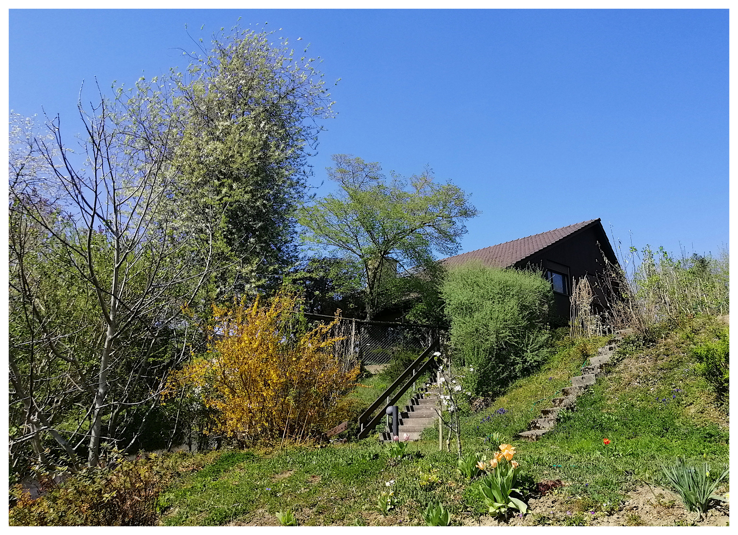 das Haus im Grünen