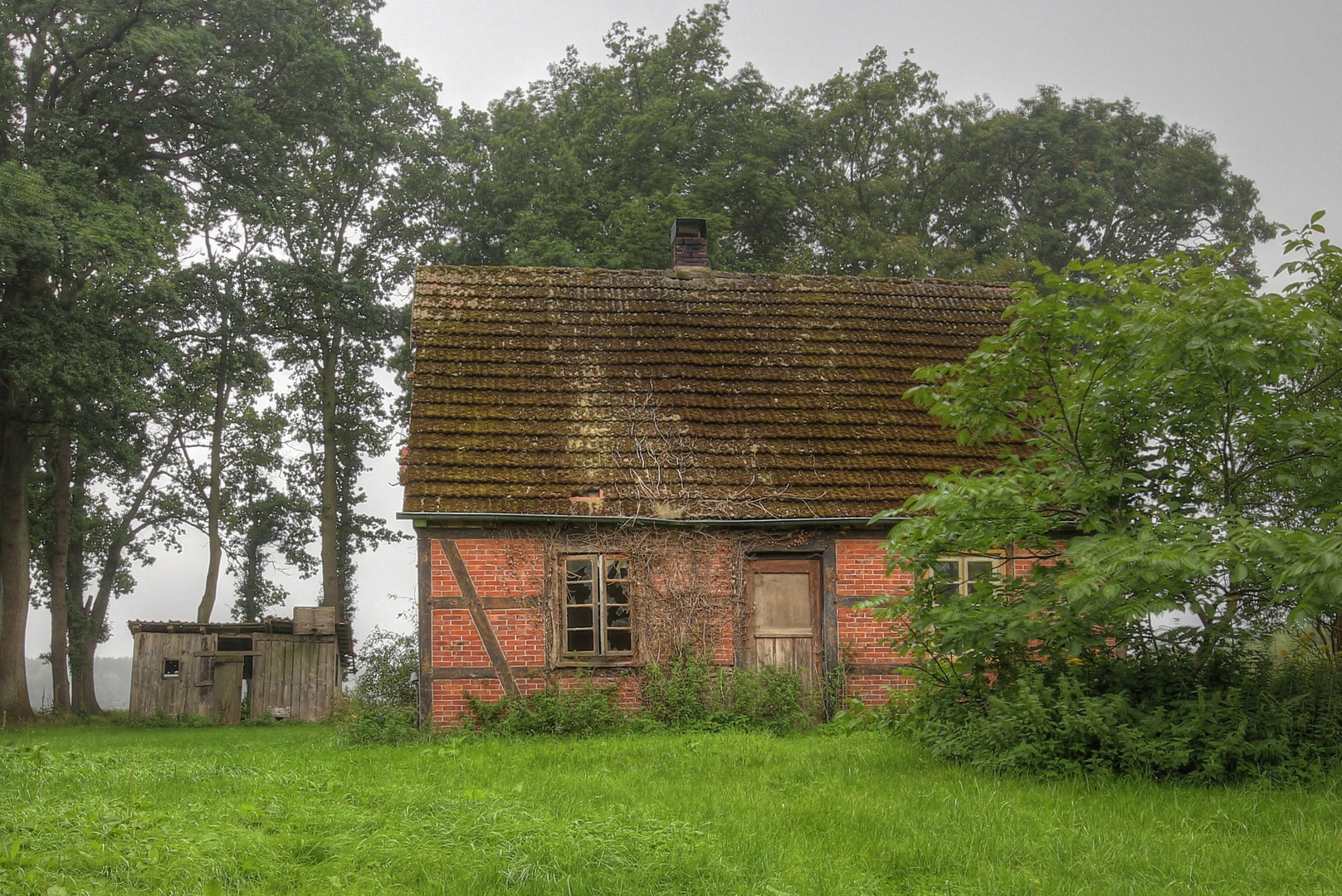 Das Haus im Grünen...