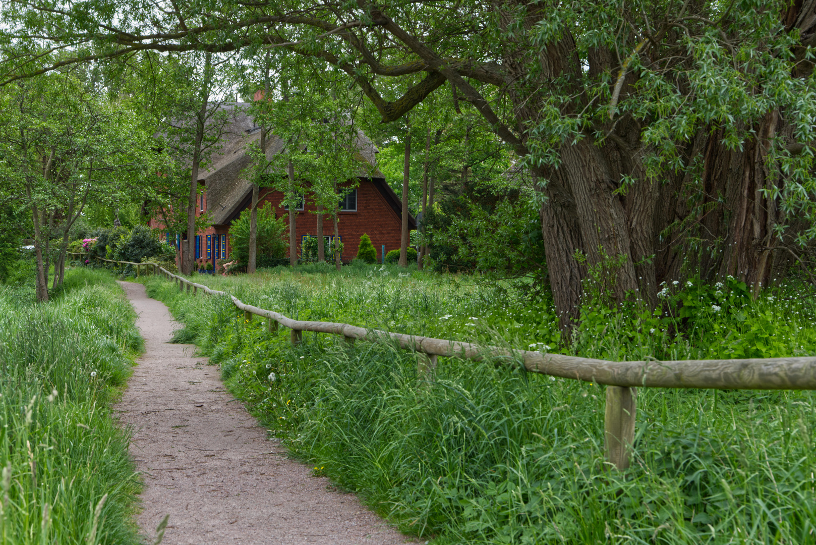 Das Haus im Grünen in Ahrenshoop